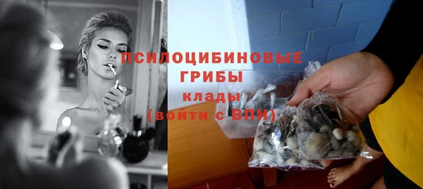 соль курить ск Богданович
