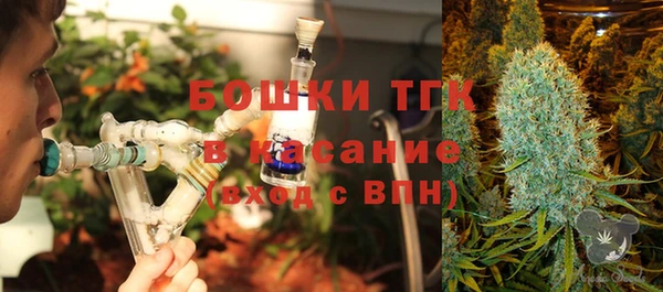 дмт Бородино