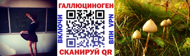 Галлюциногенные грибы Psilocybine cubensis ссылка на мегу маркетплейс Ильский